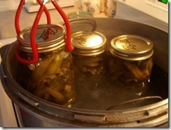 canning-pickles