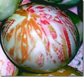 egg