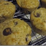 Chocolate Chip Cappuccino Muffins