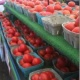 Farmers Market