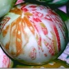Silk Tie Dyed Easter Eggs